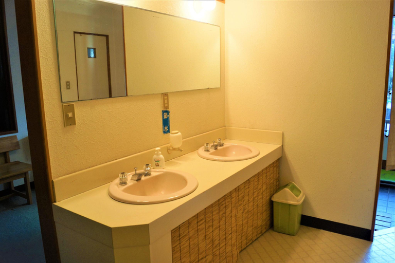 Bathroom, turtle house, Shimoda