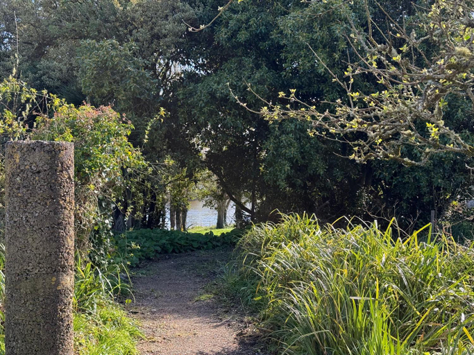 Others 4, Shannon River House & Gardens