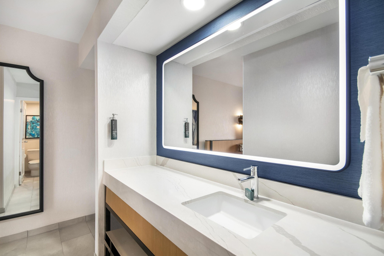 Bathroom 5, DoubleTree by Hilton Hotel Buffalo - Amherst, Erie