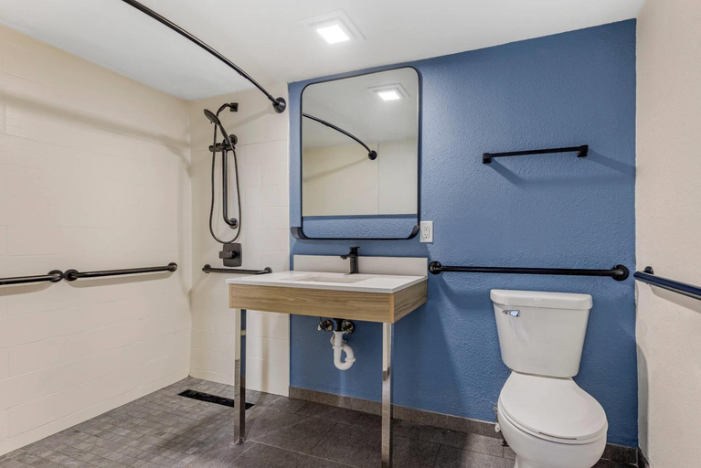 Bathroom 4, Sleep Inn & Suites Merrillville, Lake