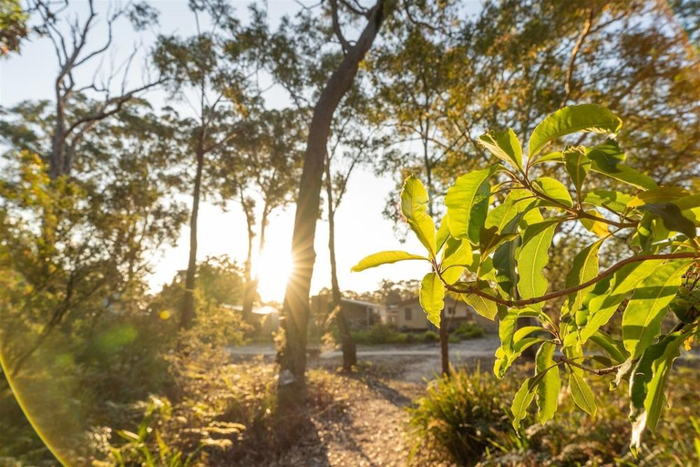 Others 5, Tasman Holiday Parks - Myola, Shoalhaven - Pt B