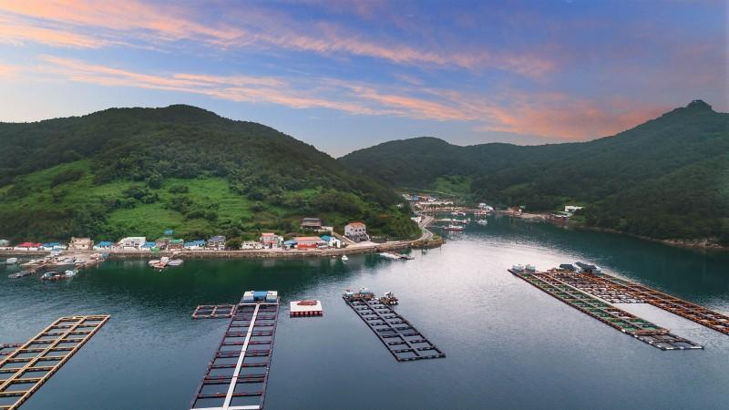 Others 5, Tongyeong Dolphin Pension, Tongyeong