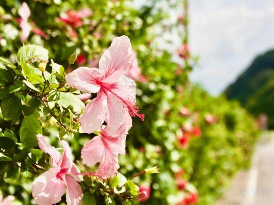 Others 1, guest house HIBISCUS - Vacation STAY 87092, Ōgimi