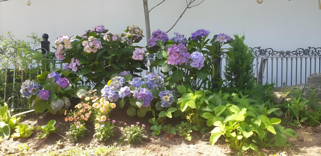 Others 5, Jecheon Gyegok Pumeun Pension, Jecheon