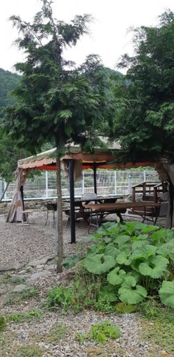 Others 3, Wanju Cypress Forest Story Pension, Wanju