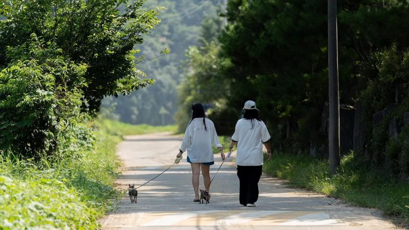 Others 3, Chuncheon Happy River Pension, Chuncheon
