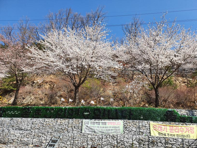 Others 4, Yecheon Water Clear Mountain Pension, Yecheon