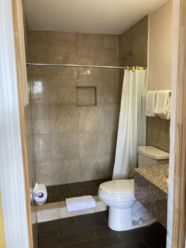 Bathroom 4, Capri motel, Jim Wells