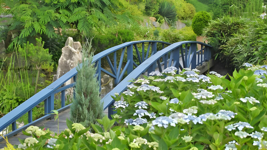 5, Taean (Anmyeondo) Mediterranean Morning Pension, Taean