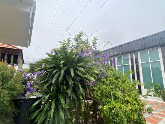 Others 4, Wan Wan villa Pattaya, Bang Lamung