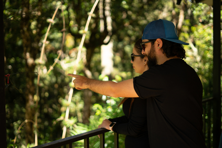 Others 4, Dantica Cloud Forest Lodge, Pérez Zeledón
