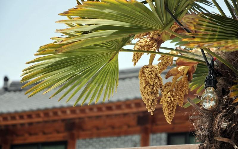 Exterior & Views 1, Tongyeong Happy Sea Pension, Tongyeong