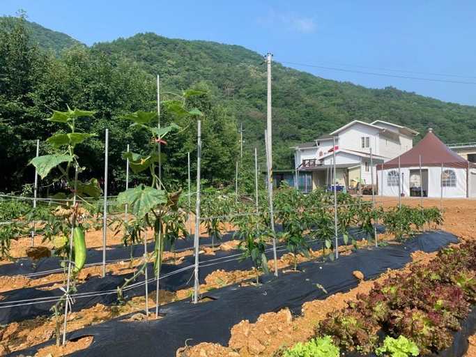 Others 2, Pyeongchang The Healing Pension, Pyeongchang