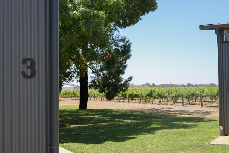Others 1, Buller Wines, Indigo - Pt B