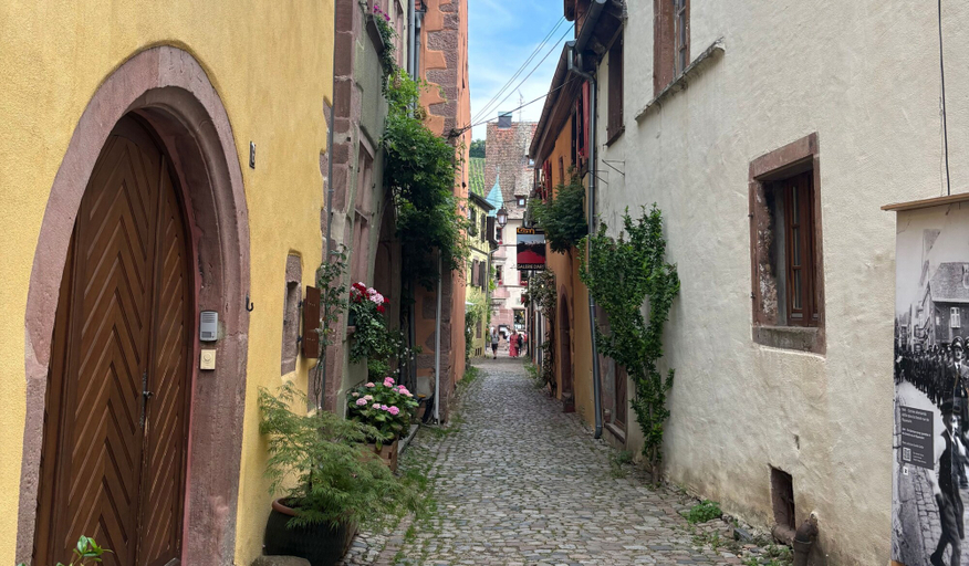 Exterior 5, Le Sarment d'Or, Haut-Rhin