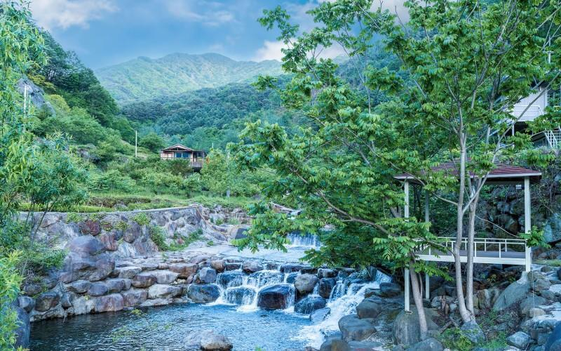 Others 4, Hedong Alphs DH Pension, Hadong