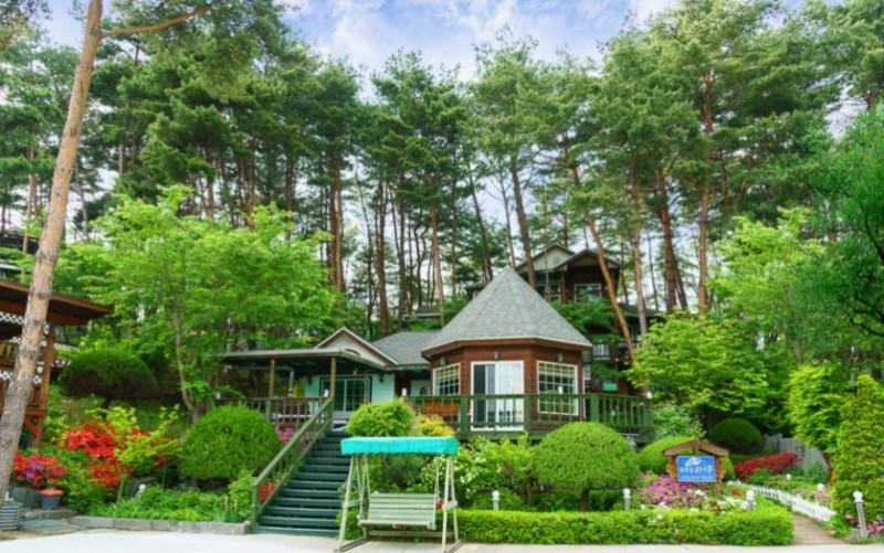 Others 4, Hoengseong Dreaming Pine Pension, Hoengseong
