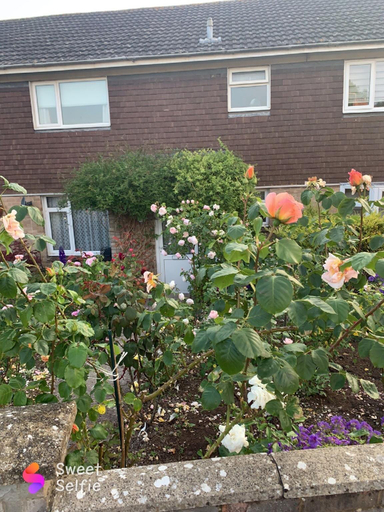 4, Captivating 2-bed House in Amesbury, Salisbury, Wiltshire