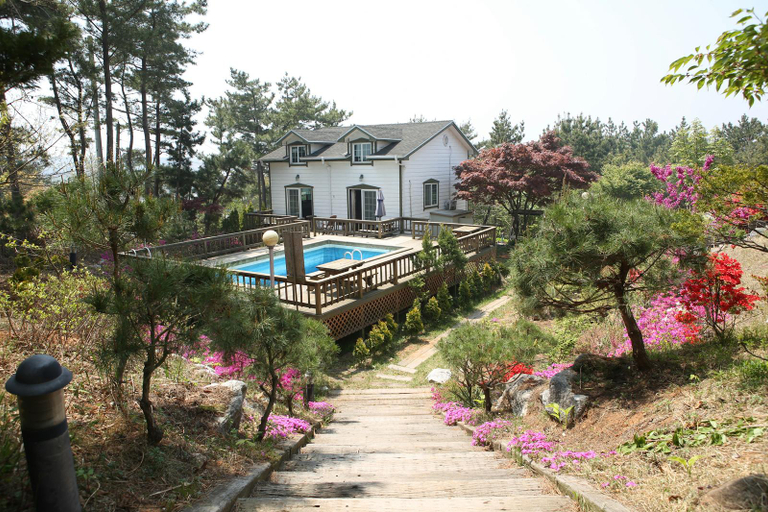 Others 1, Taean Blueberry Pension, Taean