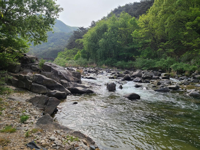 Others 1, Jecheon Healing Pension, Jecheon