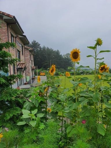 Others 5, Iksan Sky Forest Pension, Iksan