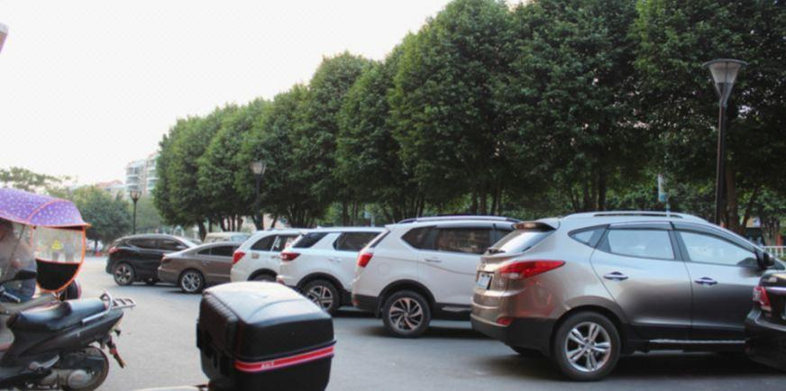 Others 4, Jinhong Elevator Apartment, Foshan