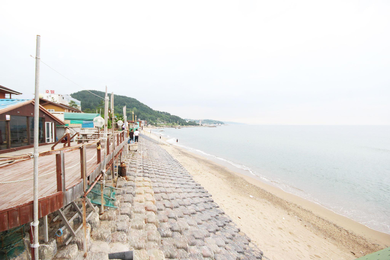 Others 3, Yeongdeok Ganggu Port Into, Yeongdeok