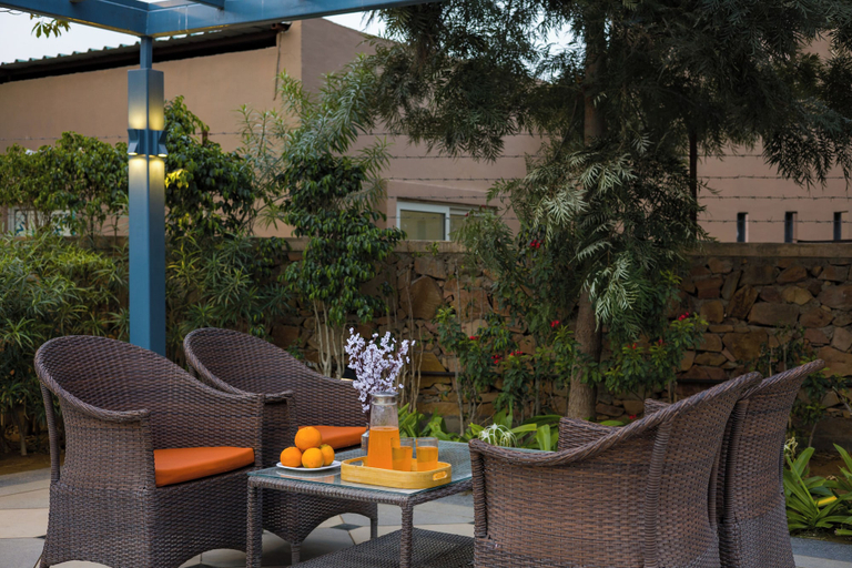 Terrace/patio 4, ELIVAAS Noahs Ark 3BHK Villa with Pool, Jaipur