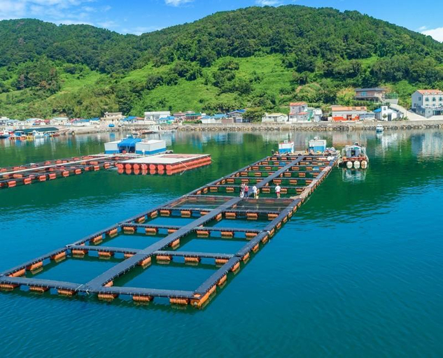 Others 4, Tongyeong Dolphin Pension, Tongyeong
