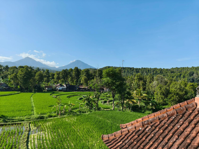 Others 4, Yoga Homestay, Buleleng