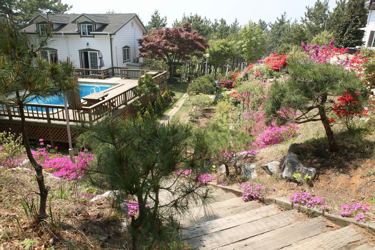 Others 5, Taean Blueberry Pension, Taean