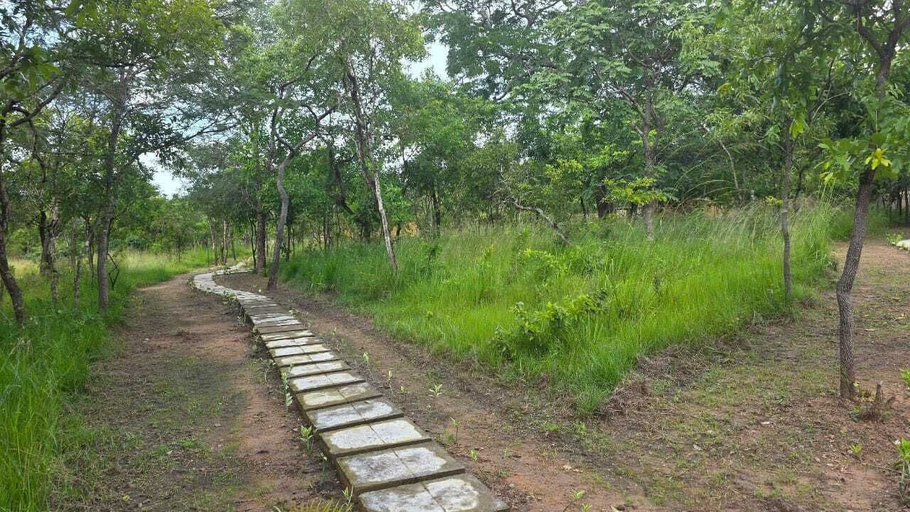 Miscellaneous, TCTC & CAMP, Morogoro Rural