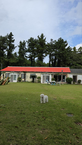 Exterior view 3, Jeju Oreum Guesthouse, Jeju