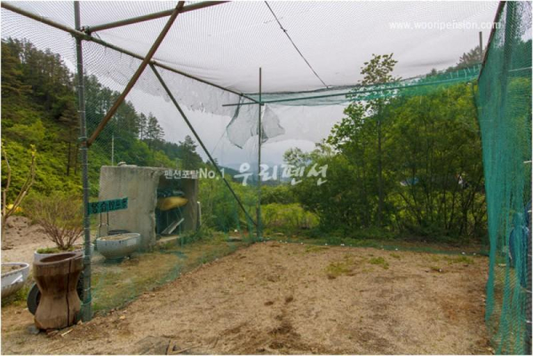 Others 4, Yangpyeong Green House Pension, Hongcheon