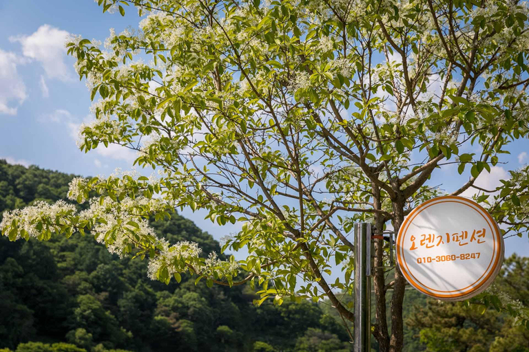 Others 1, Cheongju Orange Pension, Cheongwon