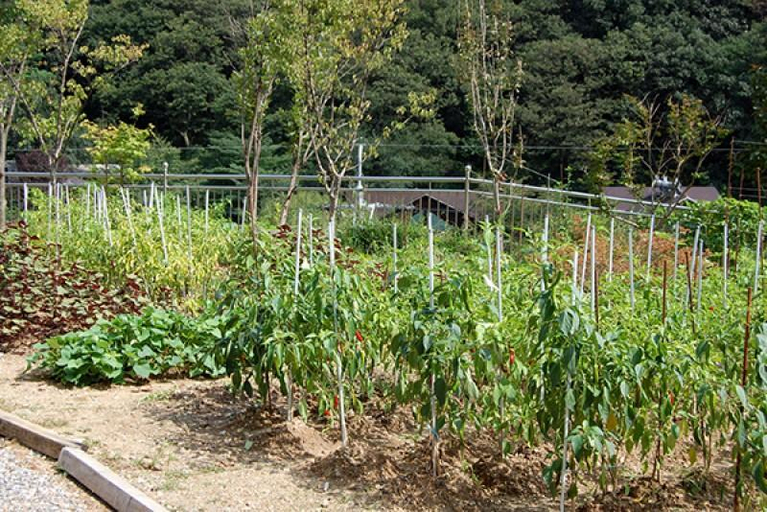 Others 5, Gapyeong Zeny Pension, Gapyeong
