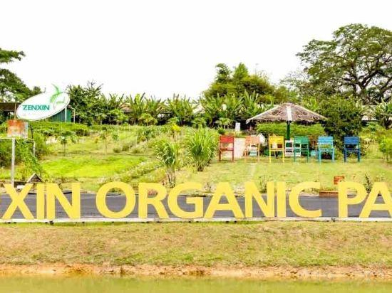 1, 3 BDR shoplot style homestay Yong Peng three rooms., Batu Pahat