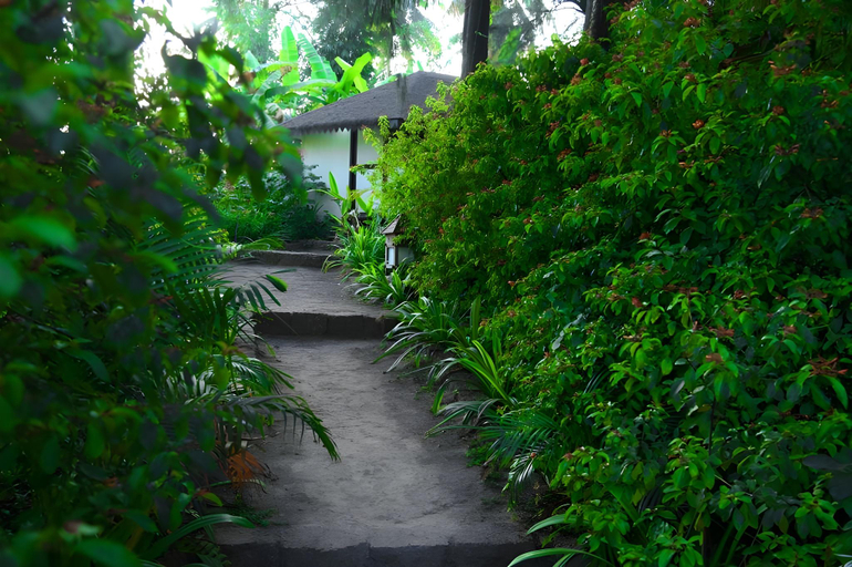 Others 3, Exotica - The Beach Resort , Raigarh
