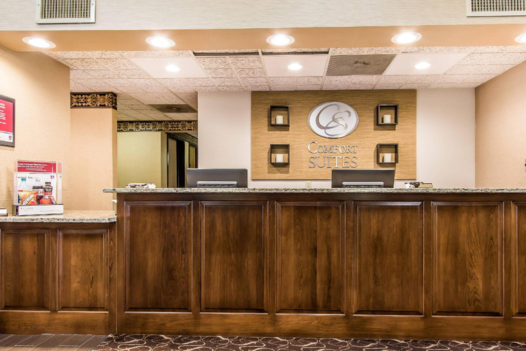 Public Area 3, Comfort Suites Effingham Central, Effingham