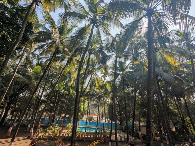 Miscellaneous, SANS RESORT, Raigarh
