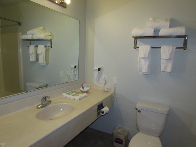 Bathroom 4, FairBridge Inn and Suites DuPont, Pierce