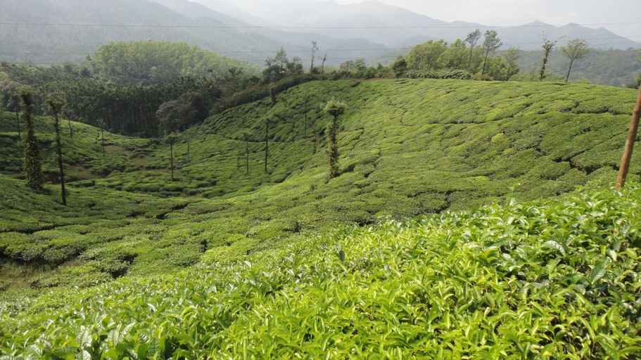 Miscellaneous 2, Upasana Retreat, Chikmagalur