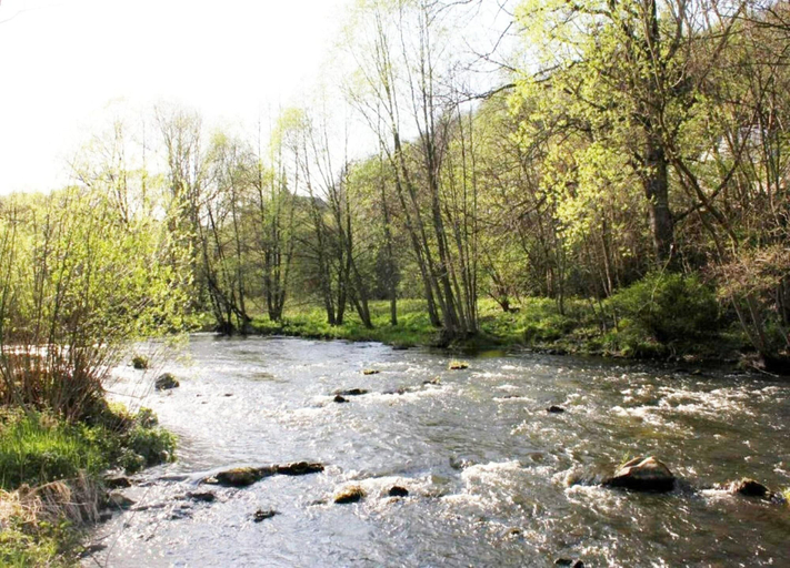 View from property 2, Ferienhaus Allrode mit Wellness, Harz