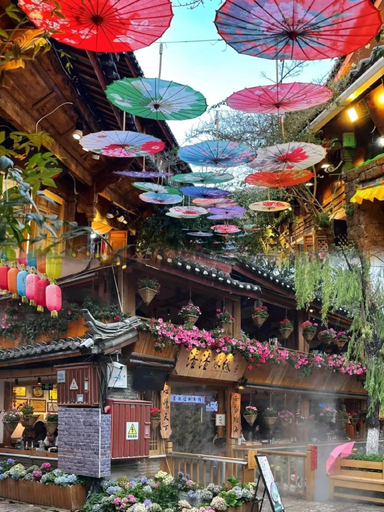 Miscellaneous 3, 166 Hotel-Ancient City Mufu Branch, Lijiang