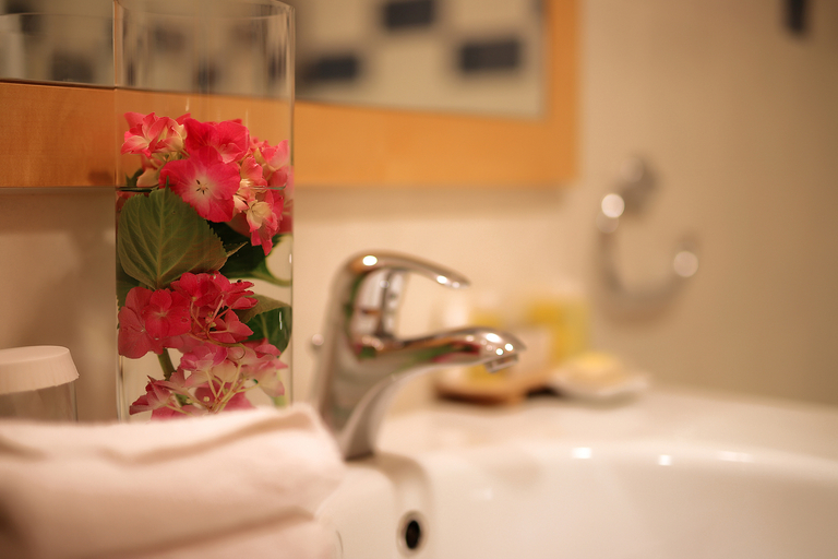 Bathroom 4, Hotel Lovec, Bled