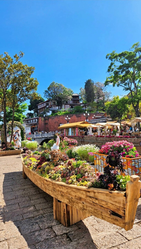 Property grounds, 166 Hotel-Ancient City Mufu Branch, Lijiang