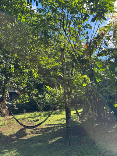 Others 2, Cabinas Corcovado Green Parrot, Los Planes Drake, Osa
