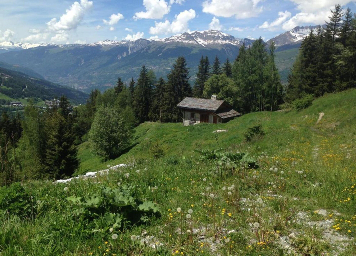 View from property 5, Chalet in Paradiski With Spa & Valley Views, Savoie