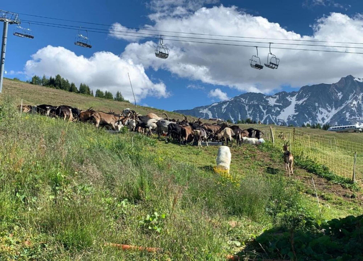 Others 3, Chalet in Paradiski With Spa & Stunning Views, Savoie