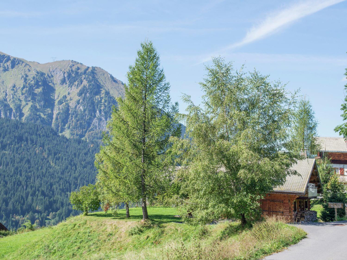Others 5, Chalet in Chatel near Les Portes du Soleil, Haute-Savoie